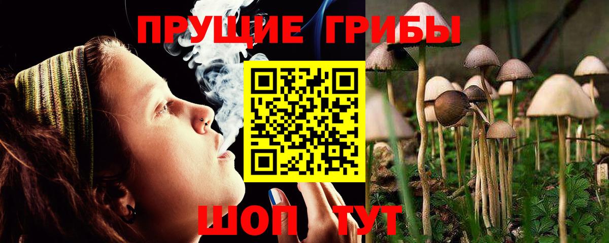 Псилоцибиновые грибы прущие грибы  Вход с VPN  Кирово-Чепецк 